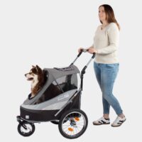 Poussette pour chien InnoPet Sporty Dog Trailer pour chiens jusqu'à 30 kg