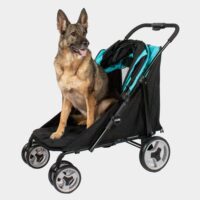 Poussette pour grand chien jusqu'à 50 kg, poussette pour labrador ou berger