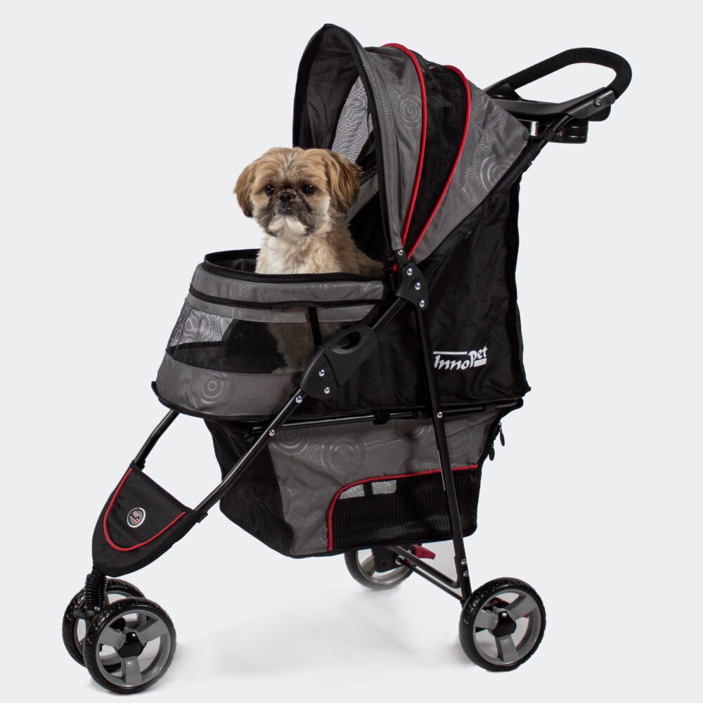 Shih Tzu, petit chien, dans la poussette pour chien InnoPet Avenue grise et rouge