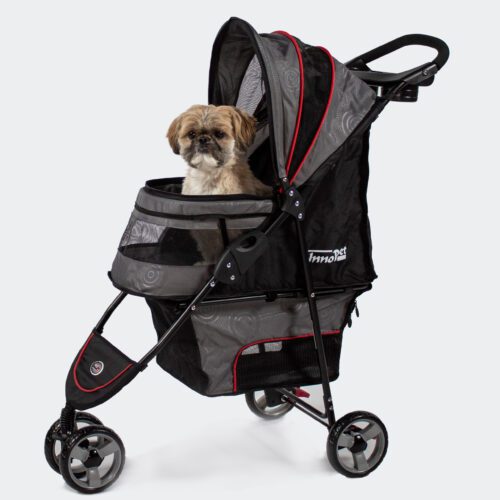 Shih Tzu, petit chien, dans la poussette pour chien InnoPet Avenue grise et rouge