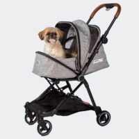 Petit chien dans la poussette pour chien pliable compacte InnoPet City Buggy