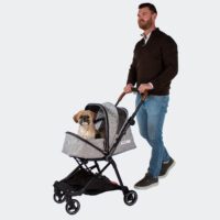 Petit chien dans la poussette pour chien InnoPet City Buggy pliable compacte