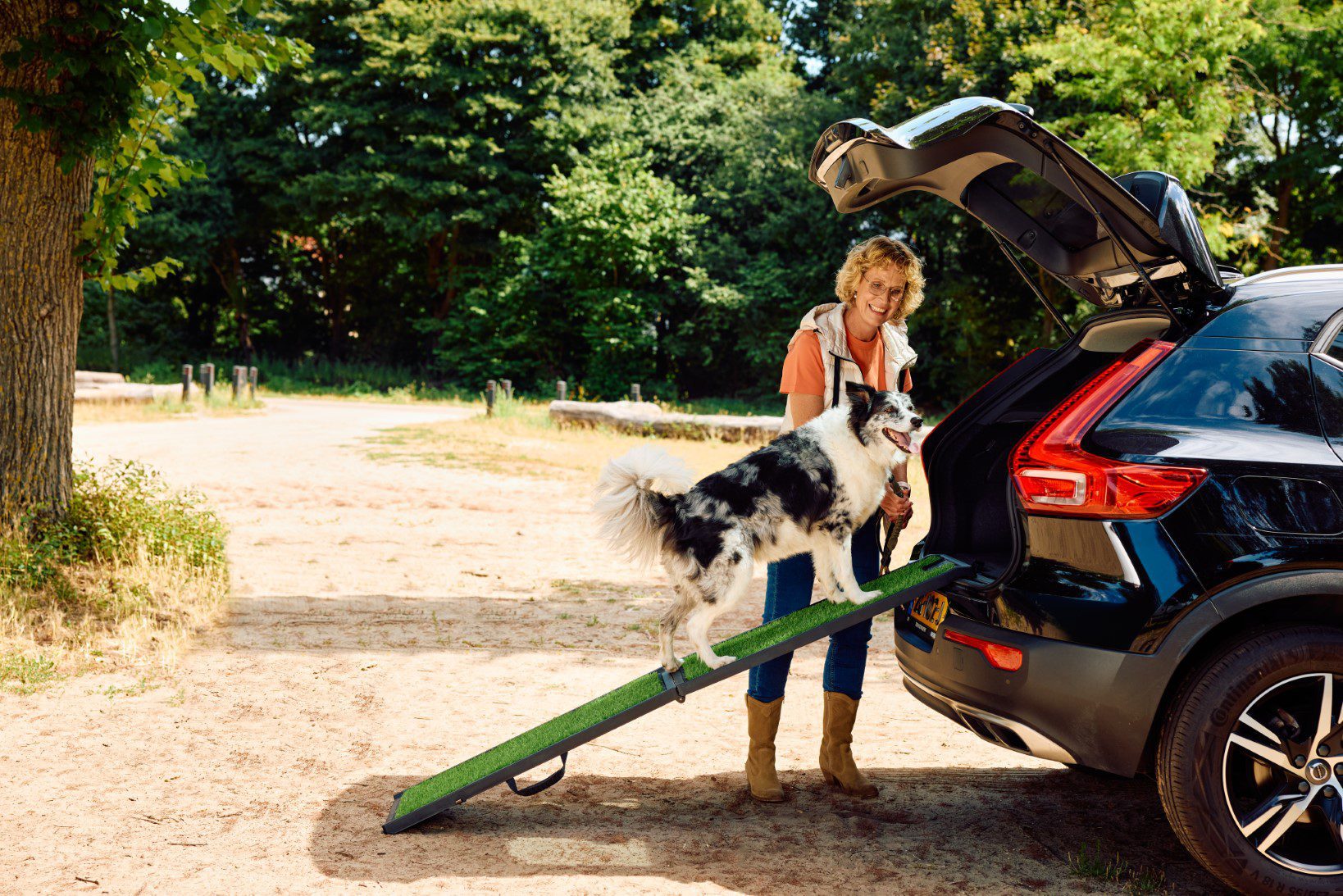 Voyager avec son chien