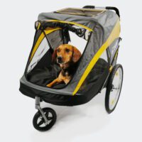 Grote hond op een orthopedisch hondenkussen in een grote hondenwandelwagen