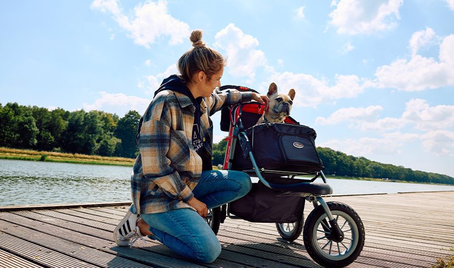 8 étapes pour habituer votre chien à sa poussette