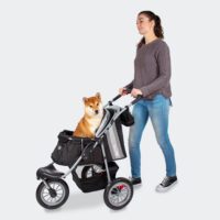 Poussette pour chien InnoPet Comfort EFA noire avec un shiba et son maître