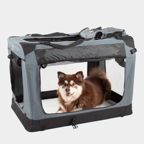Cage de voyage pour chien pour les vacances