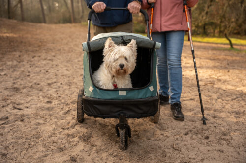 Poussettes pour chiens