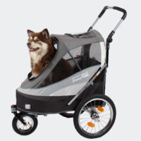 Photo produit de la remorque vélo pour chien InnoPet Sporty Dog Trailer Deluxe avec chien