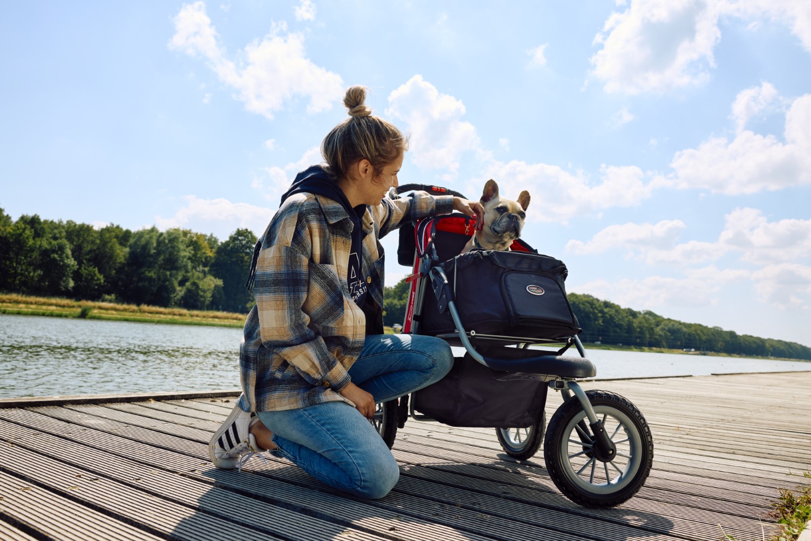 la meilleure poussette pour chien de 2025, l'innopet comfort efa eco