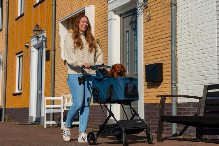 Poussette pour chien InnoPet 2 en 1 compact