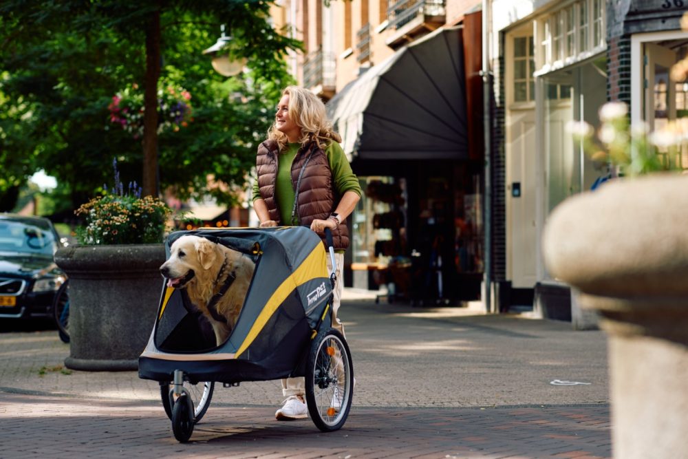 innopet-dog-trailer-labrador-city-walking-female