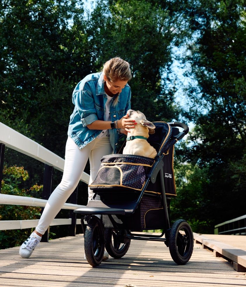 innopet-hondenbuggy-adventure-zwart-goud-franse-bulldog-buiten