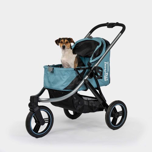Petit chien dans la poussette pour chien InnoPet Premium Comfort, de couleur noire, avec la capote ouverte.